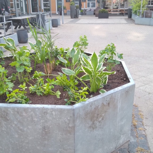 beplantning af bed for erhverv