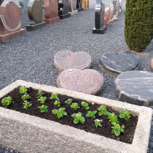 beplantning i stor stenkrukke