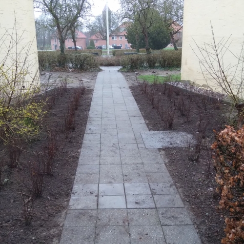 beplantning langs husmur med sti imellem