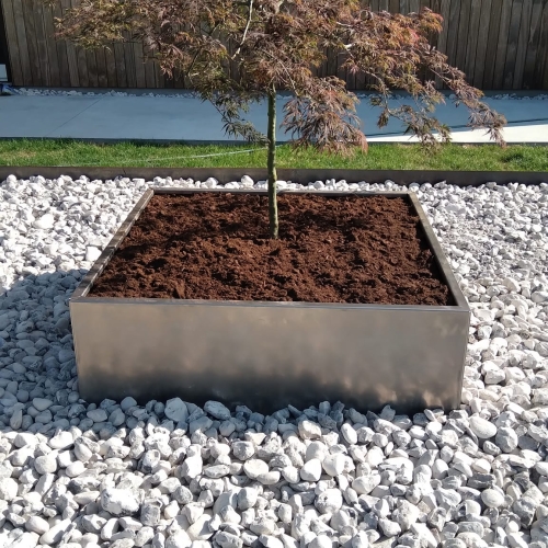 plantning af lille træ
