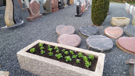 beplantning i stor stenkrukke